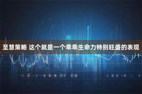 至慧策略 这个就是一个乖乖生命力特别旺盛的表现