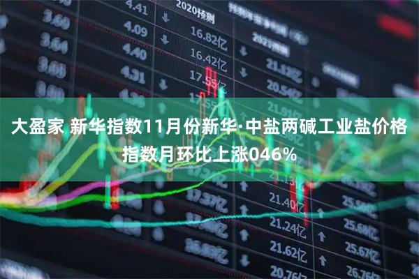 大盈家 新华指数11月份新华·中盐两碱工业盐价格指数月环比上涨046%